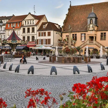 Cosy à Calme, Centre-ville Et Accès Strasbourg Apartamento